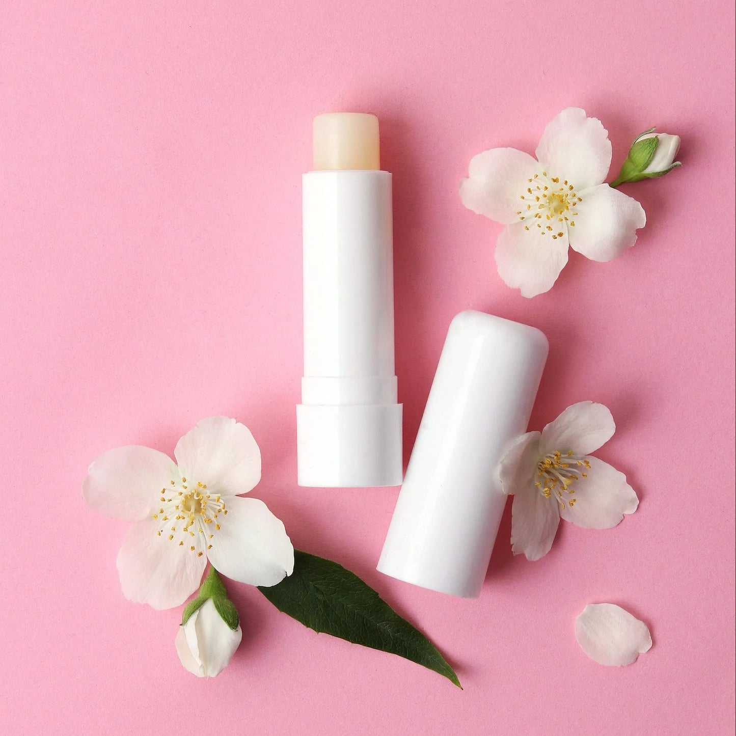 Lip Balm